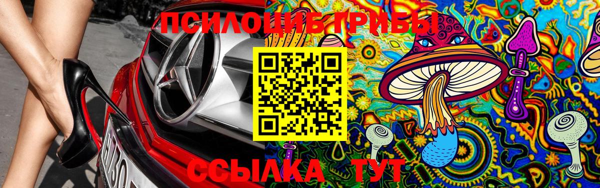 Псилоцибиновые грибы Psilocybine cubensis Тайшет