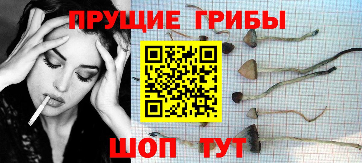 сколько стоит  Галлюциногенные грибы Cubensis  Вход с VPN  Тайшет 