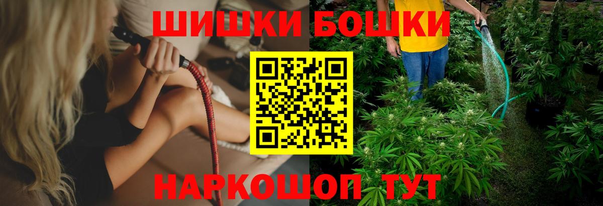 Канабис планчик Тайшет